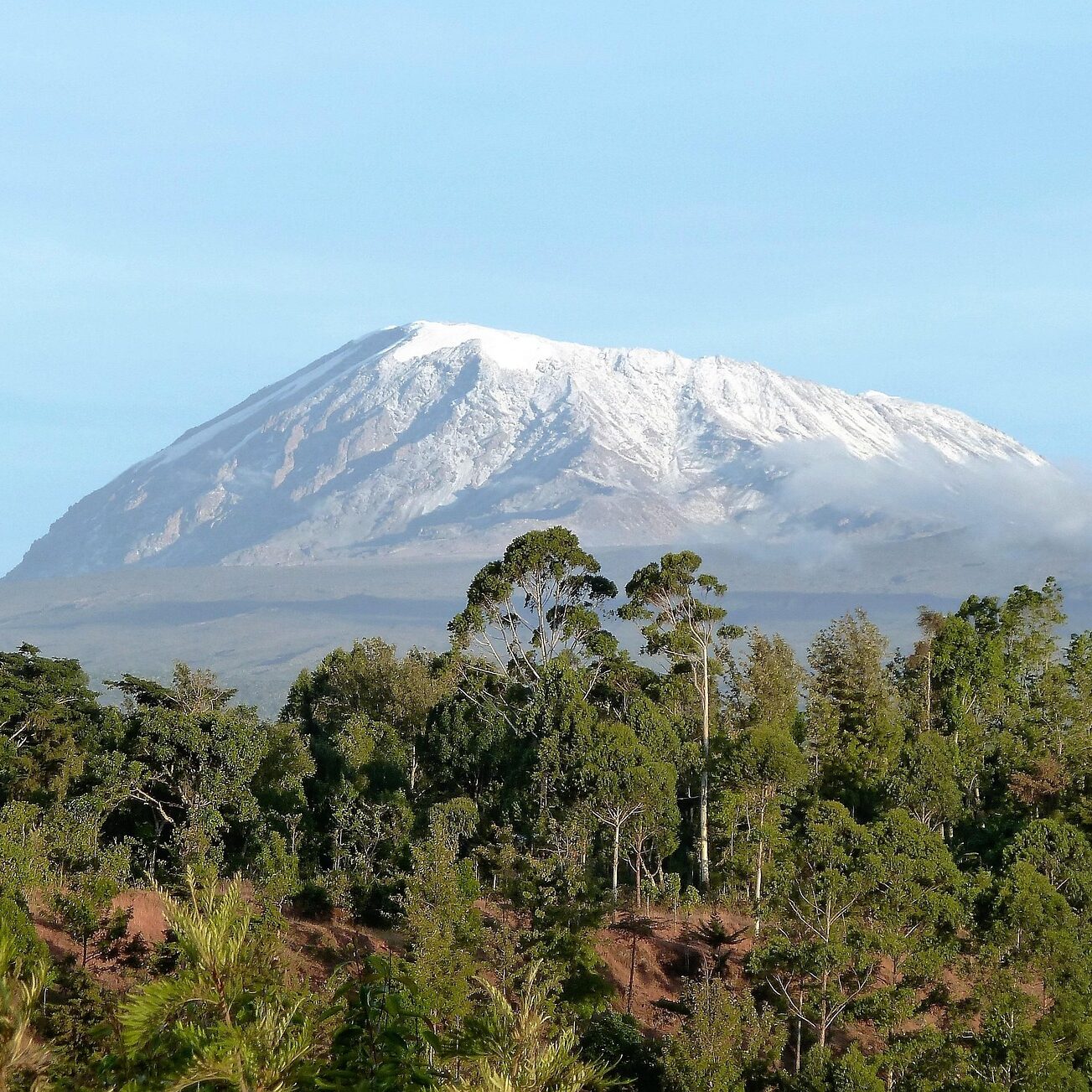 Blick zum Kilimanjaro