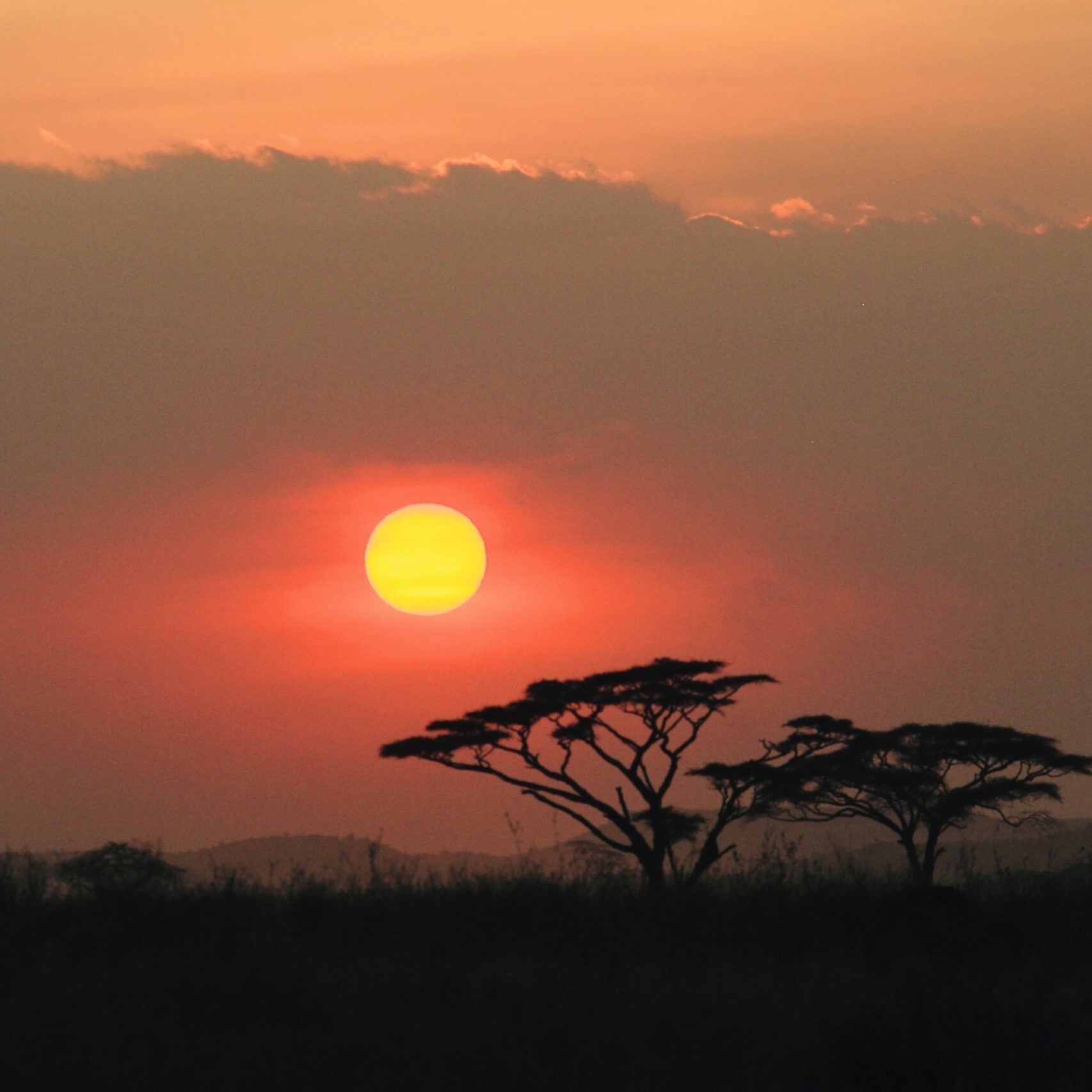 Sonnenuntergang in der Serengeti