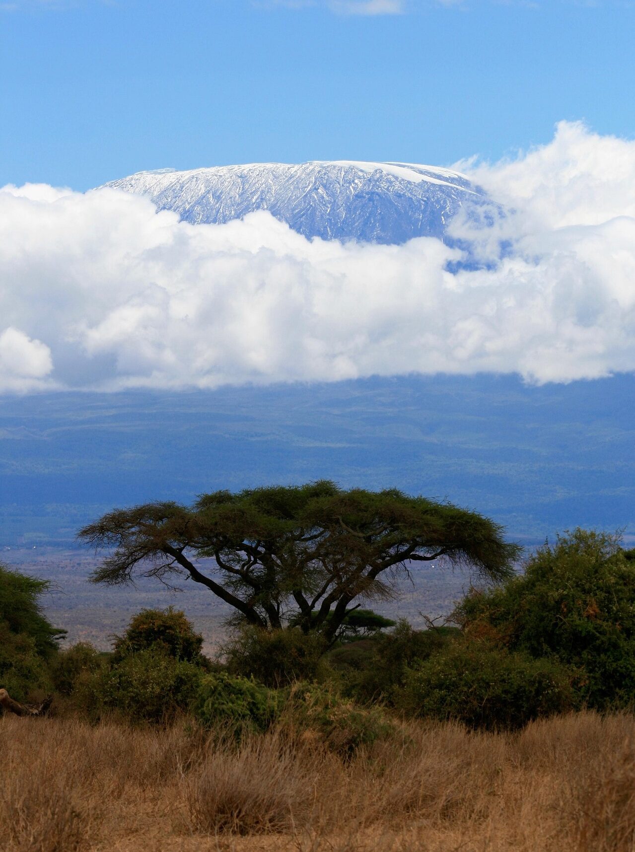 Kilimanjaro-Besteigung